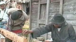 The Woodcrafting Knowledge of the Zafimaniry [upl. by Aicilyt]