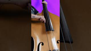 Can a bass guitar sound like a double bass bass bassguitar doublebass [upl. by Buffo135]