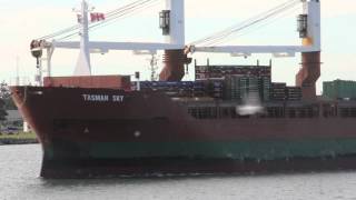 Tasman Sky IMO 9014872 Cargo Ship enters the port of Newcastle Australia  Shipspotting [upl. by Qirat95]