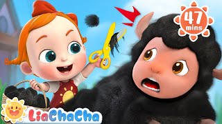 Baa Baa Black Sheep Have You Any Wool  Song Compilation  LiaChaCha Nursery Rhymes amp Baby Songs [upl. by Ainel]