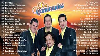 Los Caminantes  Mix Romanticas  20 Grandes Exitos Romanticas  Musica Mexicanos Mix [upl. by Leisha]