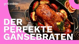 Weihnachtsgans zubereiten So wird der Gänsebraten zart und knusprig [upl. by Georgeanne35]