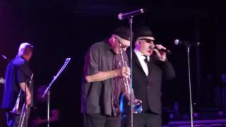 The Original Blues Brothers Band  Minnie the Moocher [upl. by Charlene510]