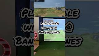 Play a hole with me on Optishot Galaxy Using Orion Live software you can play anywhere anytime [upl. by Agamemnon]