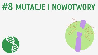 Mutacje i nowotwory 8  Genetyka [upl. by Deenya73]