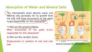 06 Biology G10  Autotrophy and Photosynthesis  W06 [upl. by Novyak]