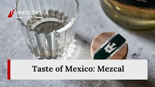 Taste of Mexico Mezcal [upl. by Elcarim]