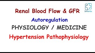 Renal Blood Flow amp GFR Autoregulation  Hypertension Pathophysiology  Physiology  Medicine HS 6 [upl. by Yesac946]