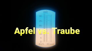 7 Äpfel 🍎 vs Wilde Trauben  Weinherstellung Wein machen [upl. by Jordans]