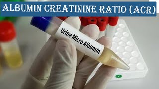 Albumin Creatinine Ratio ACR  How to Calculation ACR  with Normal Value [upl. by Alemac]