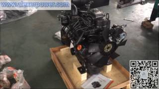 Yanmar 4TNV88 diesel engine for diesel generator technology from Japan made in China [upl. by Wiatt]