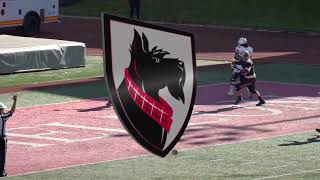 Carnegie Mellon Football Highlight vs Westminster 11224 [upl. by Haral758]