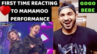 MAMAMOO  gogobebe Music Bank REACTION [upl. by Schiff]