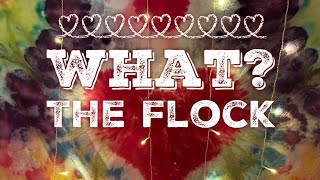 What The Flock No88 [upl. by Yrahcaz965]