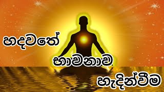 හදවතේ භාවනාව හැදින්වීම  Heart Meditation Introduction [upl. by Euseibbob]