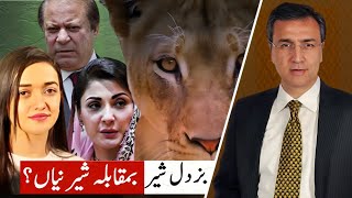 Sharif Family’s Shame PTI Women Boldly Fighting them from Jail [upl. by Desai]