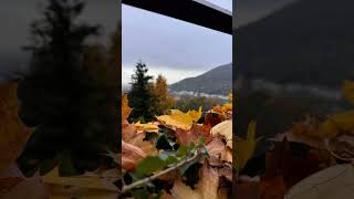 atum heidelberg lovesong jesień herbst oktober travel [upl. by Shepley484]