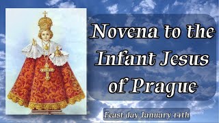 Novena to the Infant Jesus of Prague  Feast Day January 14th [upl. by Hiller791]