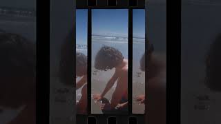 LomoKino Beach Vertical shorts [upl. by Fridell247]