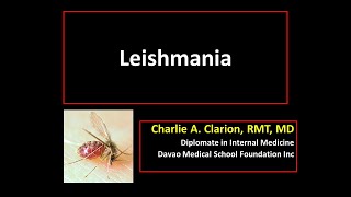 Leishmania spp [upl. by Ecnedac128]