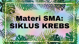 Materi biologi SMA  SIKLUS KREBS [upl. by Hillery908]