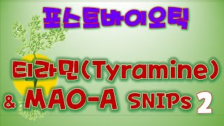 212 postbiotic2 티라민 불내증 tyramine intolerance biogenic amine MAOA SNPs [upl. by Nosnev]