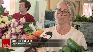 Les marchés publics populaires comme jamais [upl. by Ailegra]