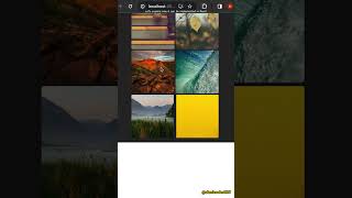 Lazy Loading Images react javascript coding programming image [upl. by Pietra687]