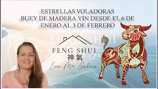 ✨Feng Shui Estrellas Voladoras Bazi y Energías Enero mes del Buey de Madera Yin [upl. by Rae]