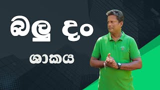 බලු දං  Sobadam Piyasa [upl. by Irmine]