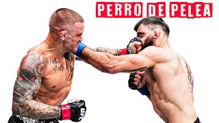 Dustin Poirier es un PERRO de PELEA [upl. by Ahsieker]