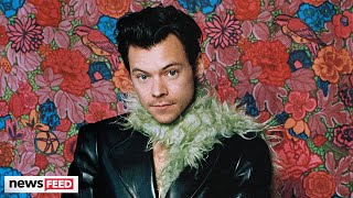 Harry Styles Cosmetics Brand Name REVEALED By Fans [upl. by Yance]