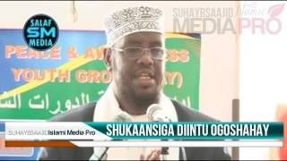 SHUKAANSIGA DIINTU OGOSHAHAY┇┇ Sh UMAL ᴴᴰ ► YouTube [upl. by Cissie]