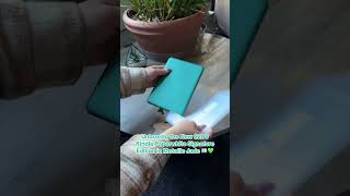 Unboxing Kindle Paperwhite Signature Edition in Metallic Jade [upl. by Kancler654]