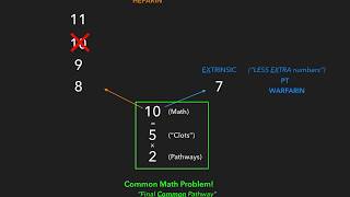 Coagulation Cascade  USMLE [upl. by Esej]