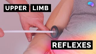 Reflexes of the Upper Limbs  OSCE Clip  UKMLA  CPSA [upl. by Karole]