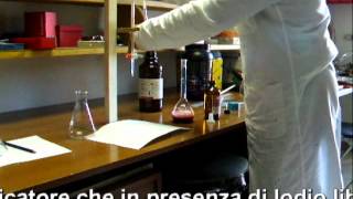 Determinazione della Solforosa Totale nel vino [upl. by Eilsil522]