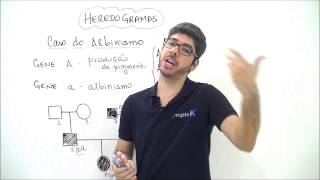 X da Questão Biologia Heredogramas Caso do Albinismo Parte 2 [upl. by Hannavahs]