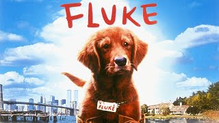 Fluke Full Movie English 1995 Review amp Facts  Matthew Modine Jon Polito Eric Stoltz Nancy Travis [upl. by Redneval]