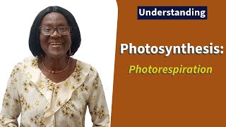 Photosynthesis Photorespiration [upl. by Aehtrod]