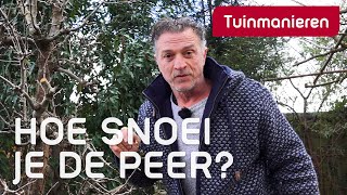 De perenboom snoeien in maart Hoe doe je dat  Snoeien  Tuinmanieren [upl. by Acinoda]