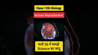 Human Reproduction Class 12 Biology Reproduction in human ncert neet class12th [upl. by Llerahc]