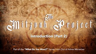 WDYW Intro to the Mitzvah Project Part 2 [upl. by Neenahs936]