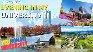 YEUNGNAM UNIVERSITY Walking Tour My University in KOREA🇰🇷 [upl. by Nilac]