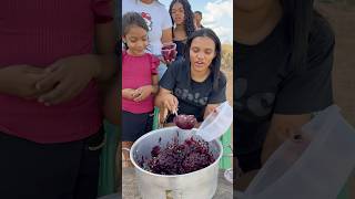 Açaí encofeitado😅 parte 03 video viralvideo youtubeshorts shorts short funny shortvideo [upl. by Ociral]