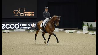 Bond between Horse and Rider  Interview with Daniel Bachmann Andersen [upl. by Haridan]