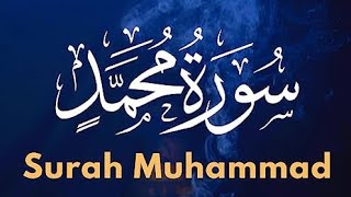 surah Muhammad with English translation Relaxing recitationBeautiful soothing Quran Recitation [upl. by Anez]