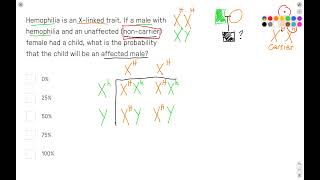 Xlinked inheritance and hemophilia Punnett square [upl. by Castorina]