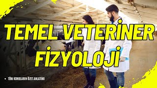 🔬 Temel Veteriner Fizyoloji Hayvanların İç Dünyasını Keşfedin  LBV107U 🐾 [upl. by Piderit229]