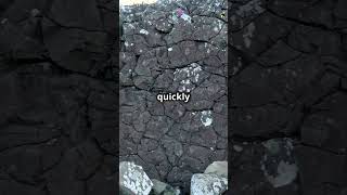 Igneous vs Metamorphic Rocks Whats the Difference [upl. by Leno]